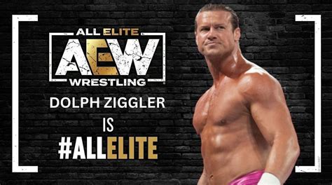 dolph ziggler 2024|aew all in 2024 predictions.